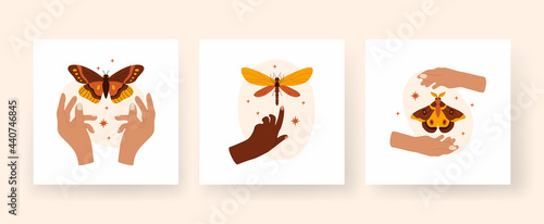 Trendy abstract square boho art set. Hands hold butterflies and dragonflies. Minimalistic composition with tropical insects and stars. Finger touches terracottata damselfly. Moth hovering between