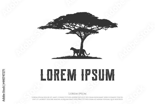 African Acacia Tree with Tiger Jaguar Leopard Cheetah Puma Panther Silhouette for Safari Adventure Logo Design Vector