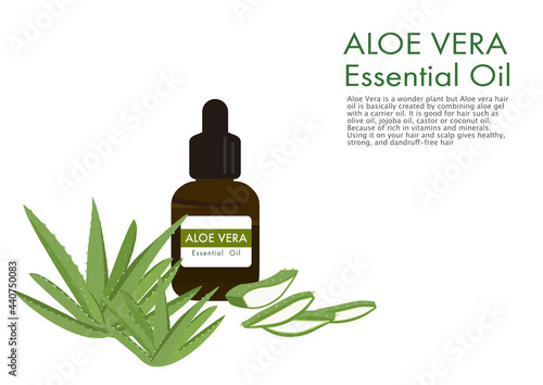 Aloe vera herb vector isolated on white background ep03