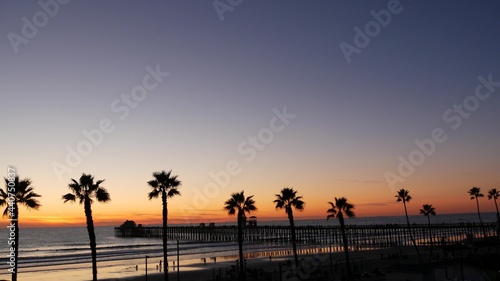Palms silhouette on twilight sky, California USA, Oceanside pier. Dusk gloaming nightfall atmosphere. Tropical pacific ocean beach, sunset afterglow aesthetic. Dark black palm tree, Los Angeles vibes. © Dogora Sun