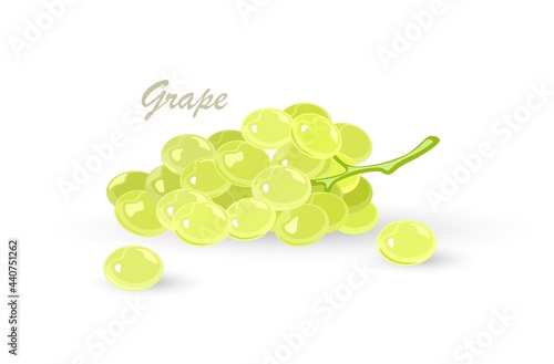 Bunch of green grapes with leaves. Fruit with sweet or sour flavour using for vegan, vegetarian kitchen, alcaline diet, winemaking. Vector cartoon illustration for packing, menu, advertisement.
