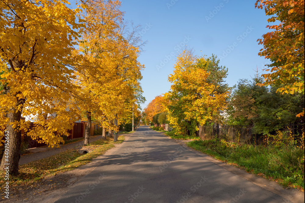 Village in autumn. Russian village road. Paved road through the dacha village in the fall