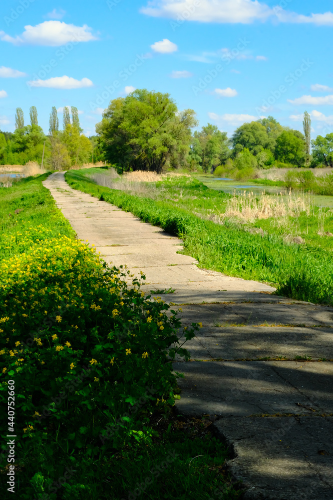 Path in the village, Ukrainian countryside landscape on summer.