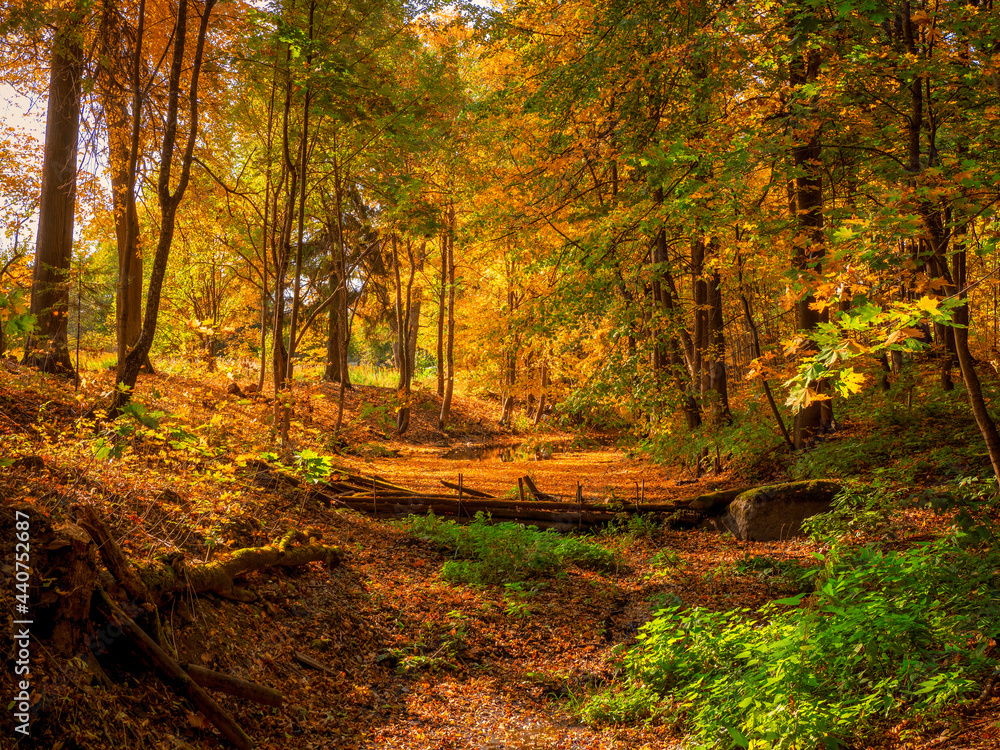 A dam in an old abandoned autumn park. Bright sunny autumn landscape with fallen maple leaves A dam in an old abandoned autumn park. Bright sunny autumn landscape with fallen maple leaves