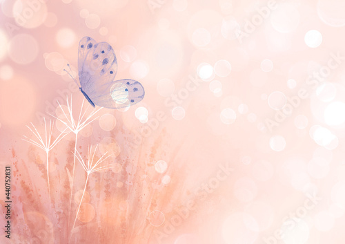 Meadow wild flowers, herbs,...