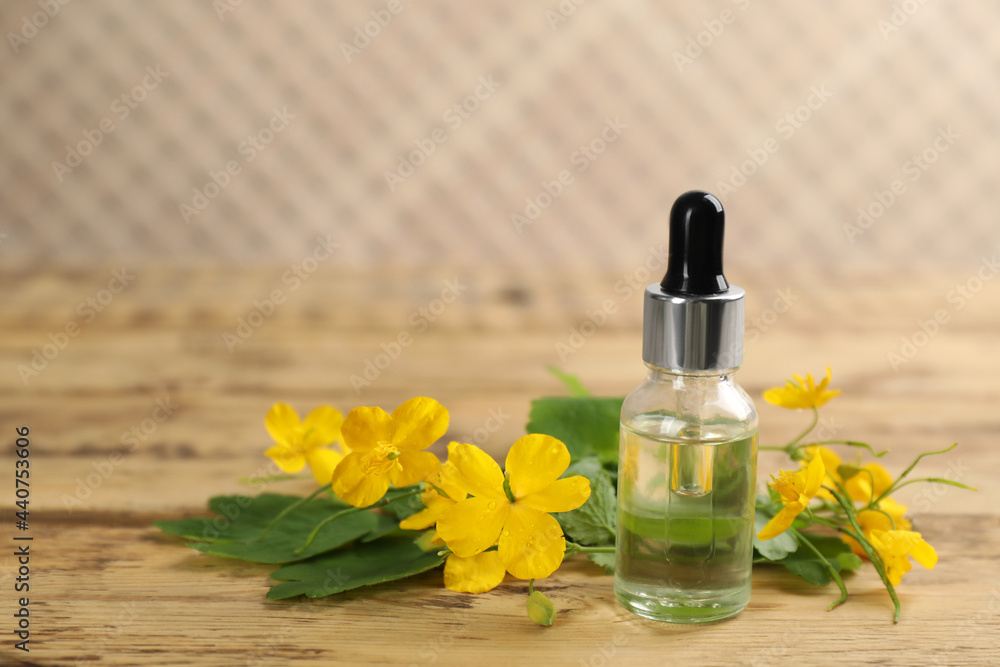 Bottle of natural celandine oil near flowers on wooden table, space for text Bottle of natural celandine oil near flowers on wooden table, space for text