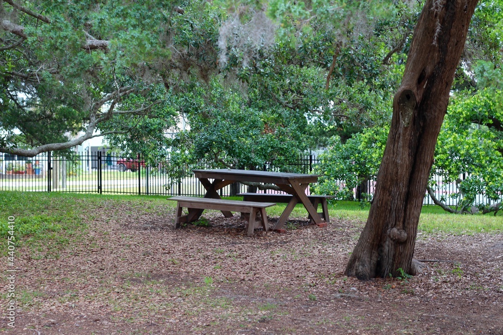 The empty picnic table under the trees in the park.