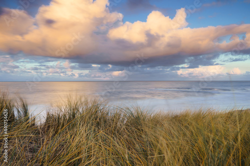 Waving dune grass with cumulus clouds above the North Sea coastline of the Netherlands photo