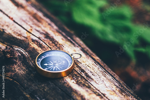 Compass on an old tree, terrain orientation concept, hiking