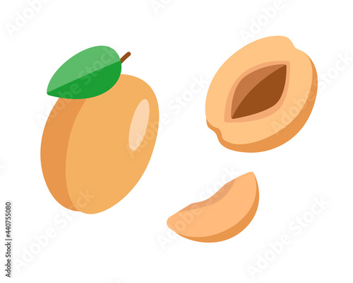 Set of apricots whole with a leaf, half an apricot with a stone and a slice. Vector illustration of ripe delicious berries.