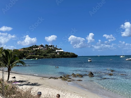 Fototapeta Naklejka Na Ścianę i Meble -  Plage Anse Mitan Les Trois ilets Martinique Antilles Françaises 