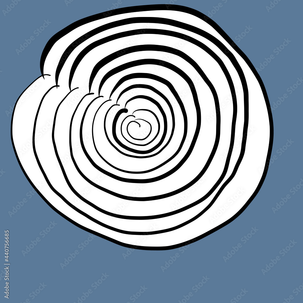 Fototapeta premium shell, abstract spiral, connection to the cosmos, otherworldly connection, subtle world