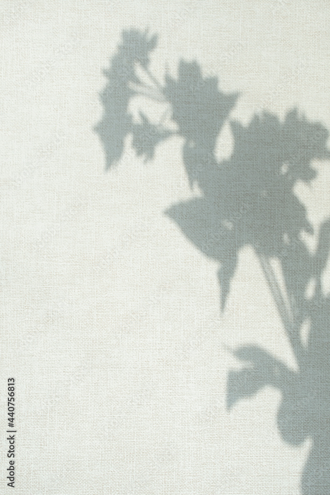 Fototapeta premium 벽에 비친 식물 실루엣 