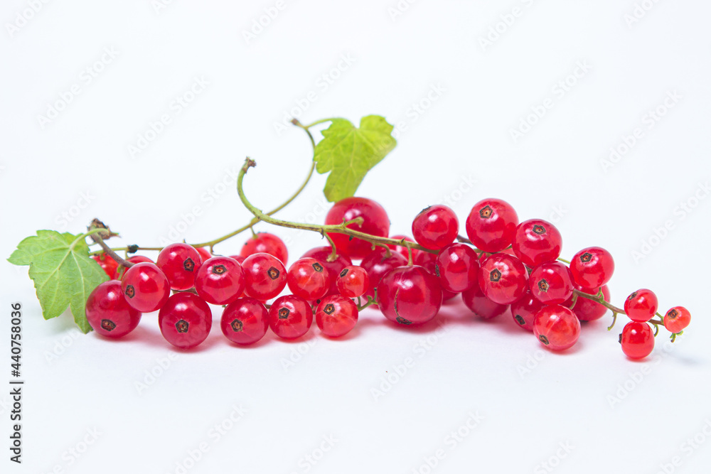 Red currants on a white background. Ripe and tasty berries.