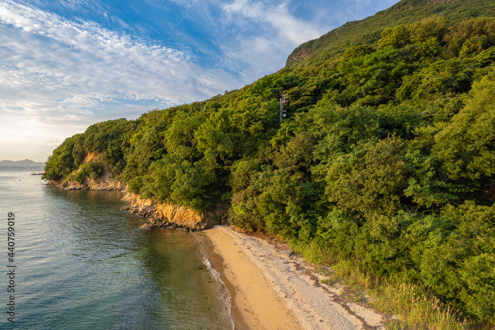 【自然風景】森林に囲まれた青い海と砂浜　ドローン　空撮
