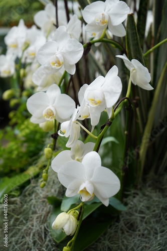 Butchart Gardens, Victoria, British Columbia, Canada
