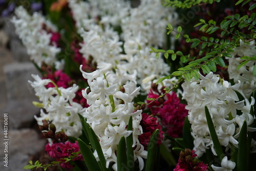 Butchart Gardens, Victoria, British Columbia, Canada