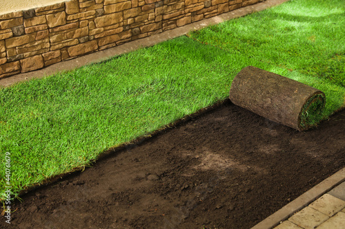 Konstfotografi Laying grass sods at backyard. Home landscaping