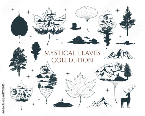 Mystical leaves collection. Celestial leaves with mountain, clouds, moon and forest. Magic leaf and tree silhouettes and outlines.