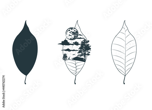 Set of elm leaf silhouette, outline and mystical design. Celestial leaves with mountain, clouds, moon and forest.