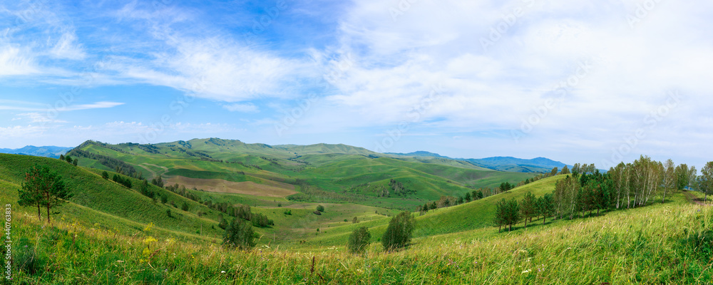 Panoramic view of green valley with trees and mountains, Altai, Russia. 