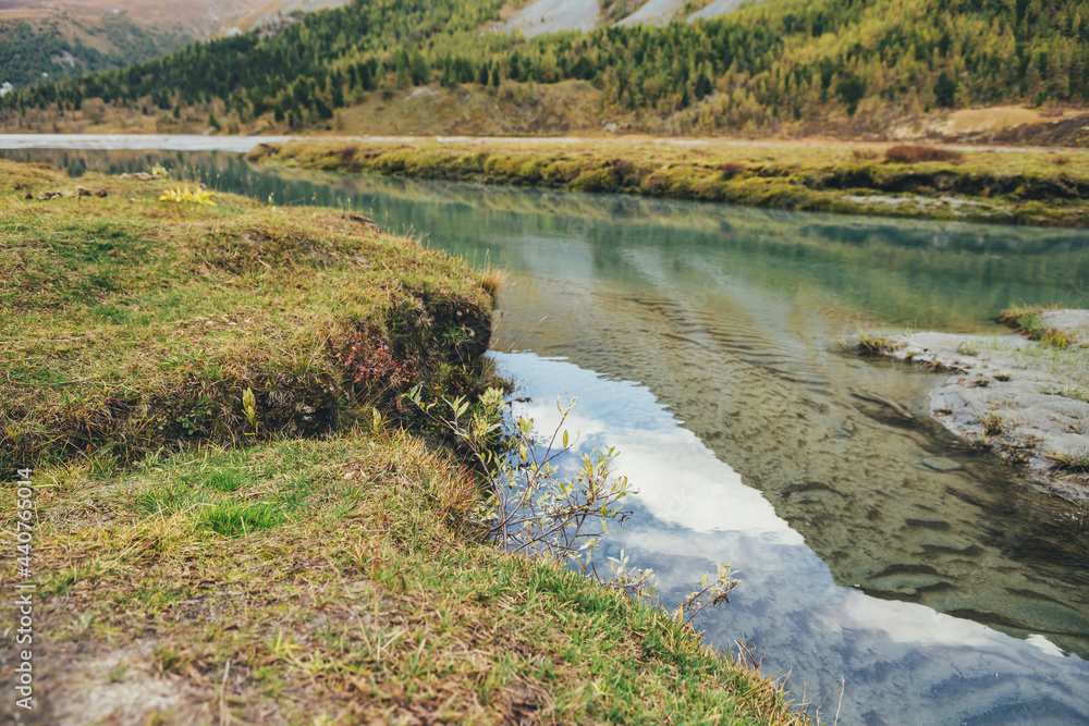 Scenic autumn landscape with mountain creek among yellow grass. Beautiful scenery in golden autumn colors with turquoise clear water stream. Green ripple sandy bottom in transparent water of brook. Scenic autumn landscape with mountain creek among yellow grass. Beautiful scenery in golden autumn colors with turquoise clear water stream. Green ripple sandy bottom in transparent water of brook.