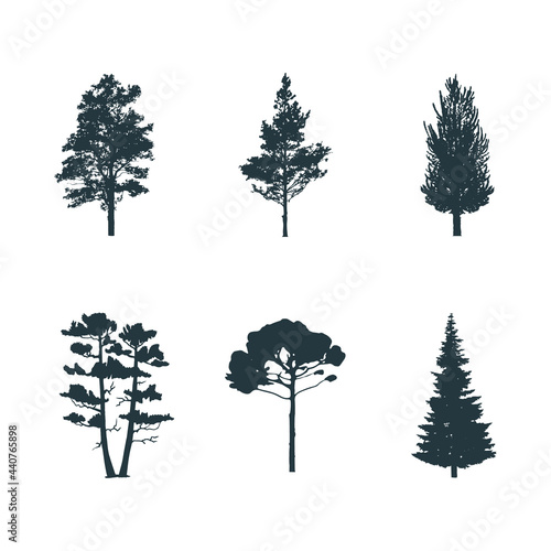 Set of forest trees silhouettes. Vector isoleted icons of pine, fir, aspen, elm. 