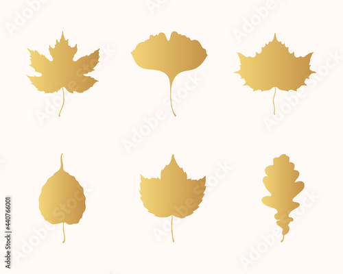 Collection of golden maple, oak, elm, aspen, hop and ginkgo biloba leaves. Vector isolated gold fallen leaf silhouettes.