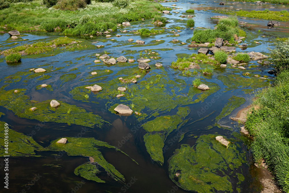 Scenic view of a river with algae and large rocks