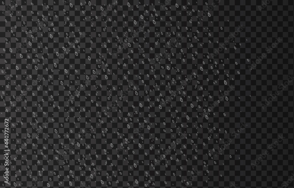 Rain drops isolated on transparent background. Rain drops isolated on transparent background.