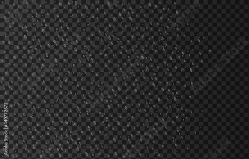 Wallpaper Mural Rain drops isolated on transparent background. Torontodigital.ca