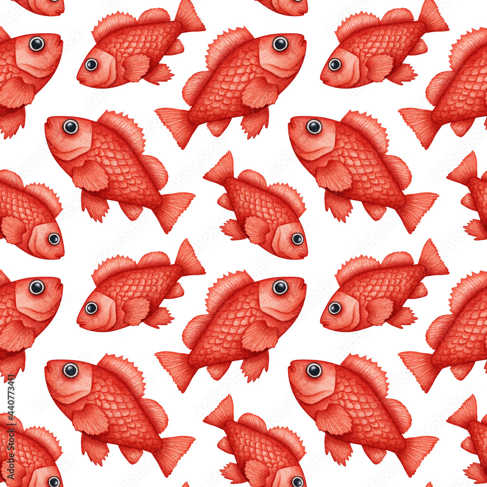 Watercolor Rose Fish, Ocean Perch seamless pattern. Hand drawn Rockfish ...