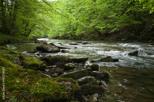 Mountain river, mountain river in the summer forest. Pebbles in the streams of a mountain river. Scenery. 