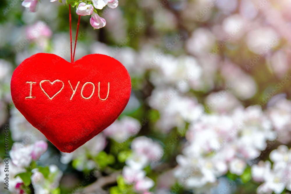 A symbol of love among the branches of a blooming Apple tree
A symbol of love among the branches of a blooming Apple tree