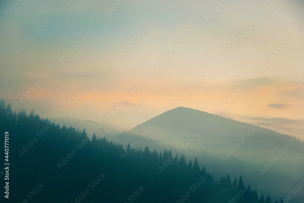 Naklejka premium Silhouettes of spruce forest and mountains against the background of a pastel pink dawn sky