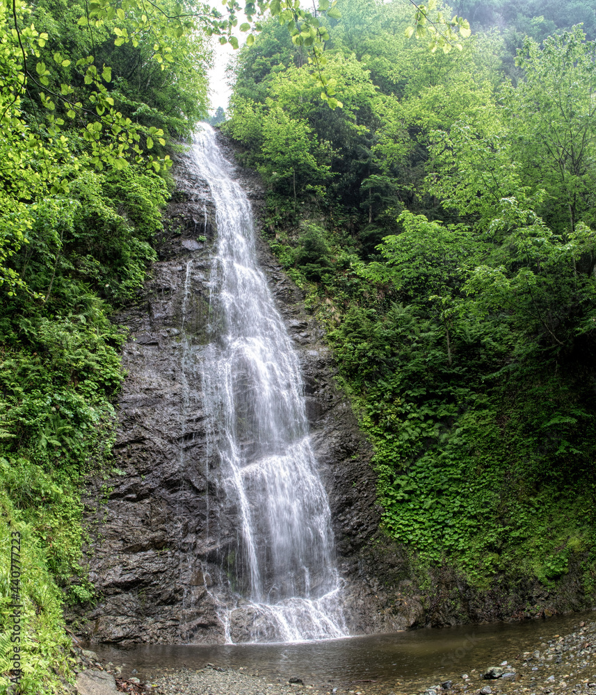  Mountain spring and waterfall and fresh green forest