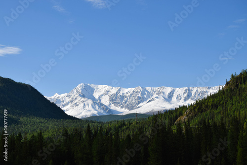  Altai