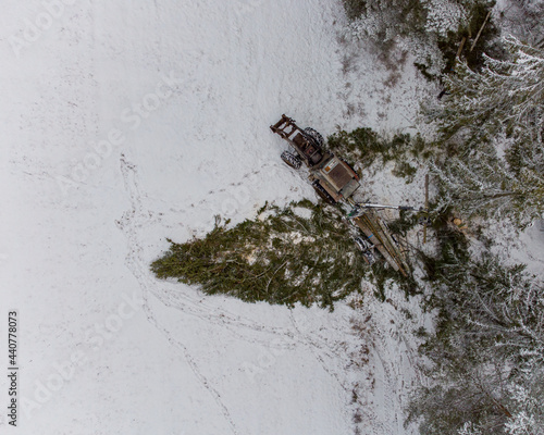 Cutting down trees