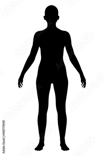 Silhouette of a naked girl isolated on a white background. Front view. Vector illustration