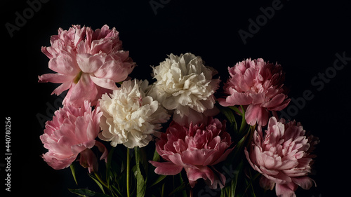 panoramic floral banner. beautiful bouquet of pink and white peonies on a black background with place for text. flat lay composition, moody floral