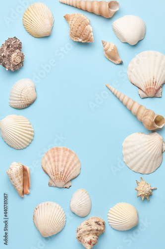 beautiful frame of shells and seashells on a blue background. simple minimalistic summer composition. copy space, top view