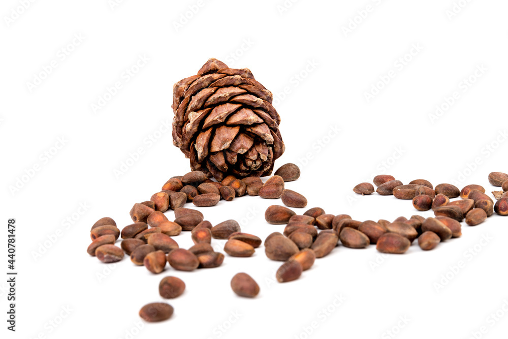 Pine nuts and ripe pine cones on a white background Pine nuts and ripe pine cones on a white background