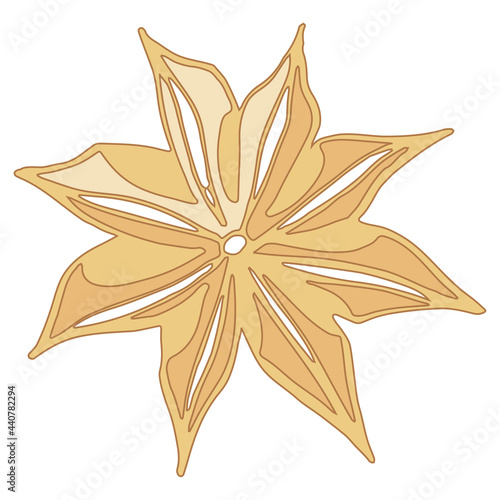 isolated element spice star star anise decorative beige vector