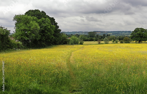 An English Rural Landscape in the Cotswold Hills
