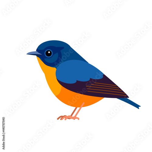 Blue-fronted redstart is a species of bird in the family Muscicapidae, the Old World flycatchers. Phoenicurus frontalis. Exotic Blue Bird Cartoon flat vector illustration isolated on white