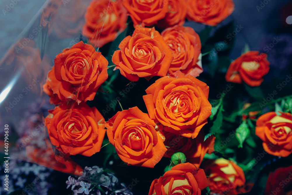 a big large lush bouquet of orange roses a big large lush bouquet of orange roses