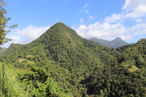 Paysage Canal des Esclaves Martinique Antilles Fran  aises 