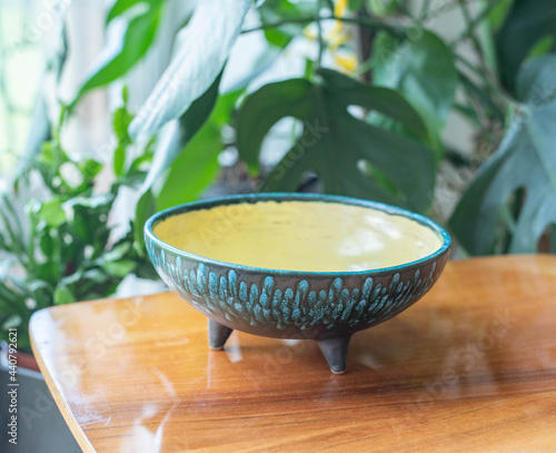Mid-century modern ceramic bowl on a wooden table with plants in the background