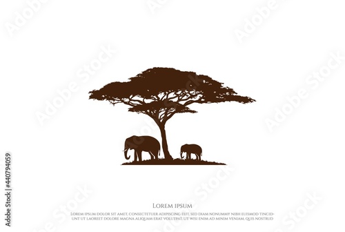 African Acacia Tree Silhouette with Elephant for Wild Safari or Conservation Logo Design Vector