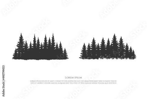 Pine Cedar Conifer Coniferous Evergreen Fir Larch Cypress Hemlock Tress Forest for Camp Outdoor Adventure Logo Design Vector